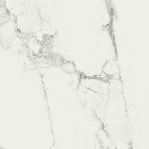 Carrera White Marble Flooring