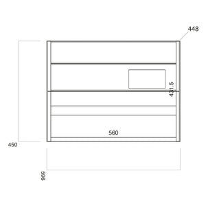 Amina 600 Wall Hung Vanity Unit