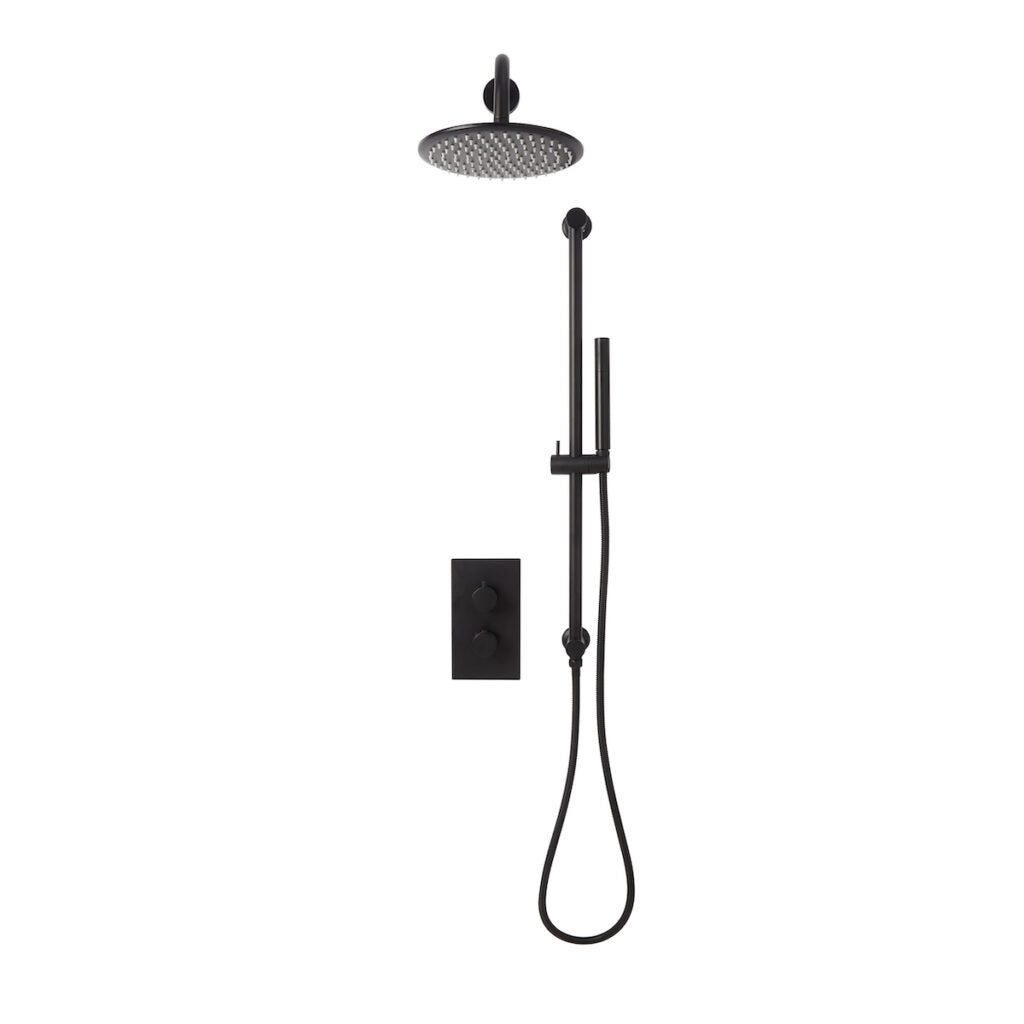 Alpha Concealed Shower with Riser Rail