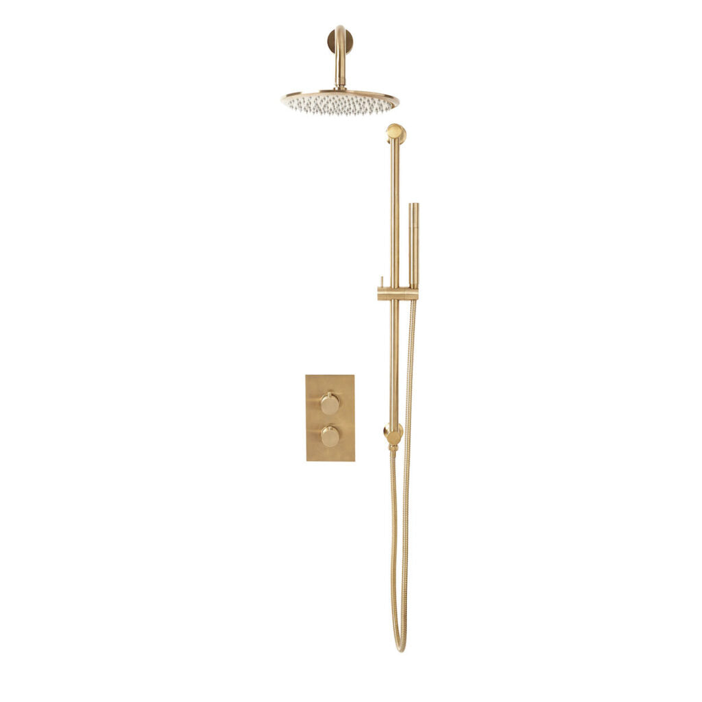 Alpha Concealed Shower with Riser Rail