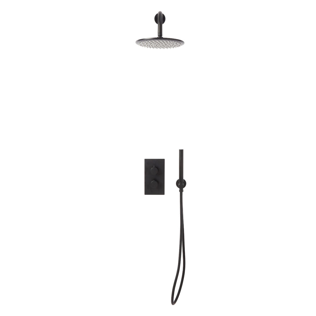 Alpha Concealed Shower