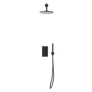 Alpha Concealed Shower