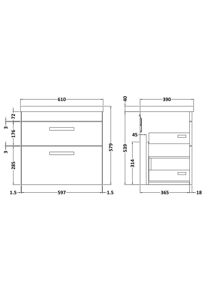 Reina 600mm Wall Hung 2-Drawer Vanity