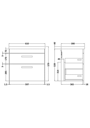 Reina 600mm Wall Hung 2-Drawer Vanity