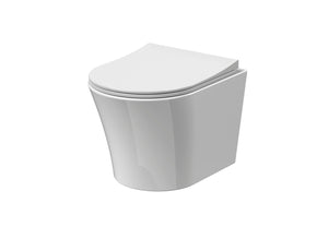 Wall Hung Rimless Toilet Pan & Soft Close Seat