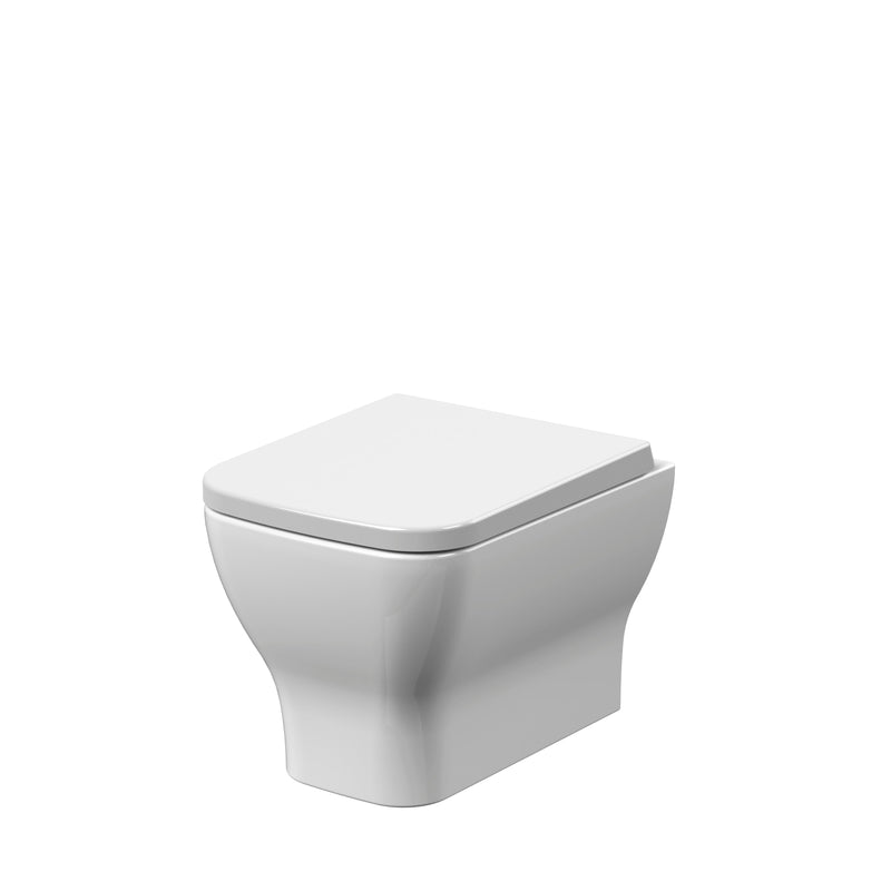 Rimless Wall Hung Pan & Seat
