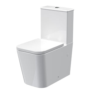 Rimless Flush To Wall Pan, Cistern & Seat